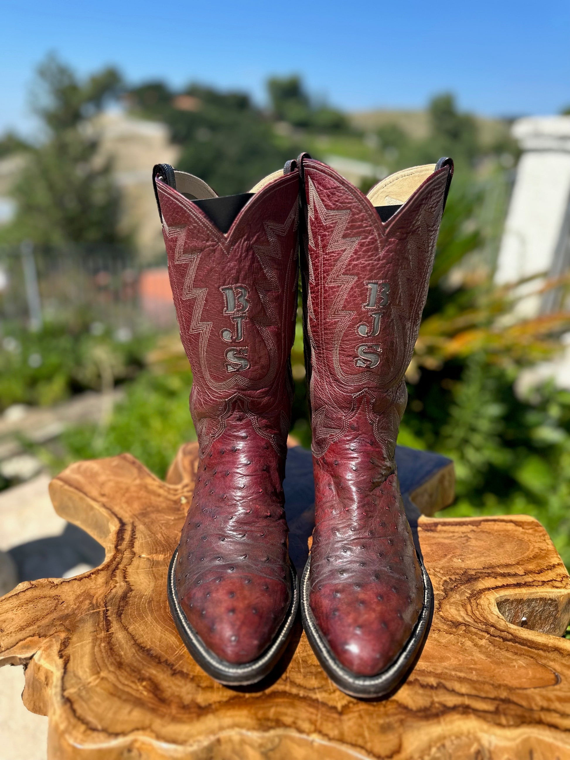 Rusty Franklin Full Quill Ostrich Top and Bottom Cowboy Boots